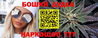 индика Ливны
