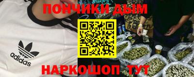 индика Ливны