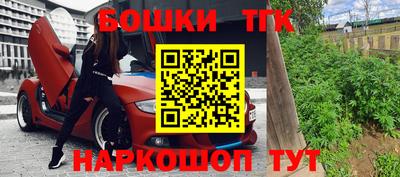 индика Ливны