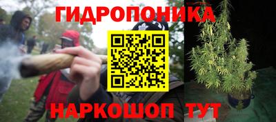 PSILOCYBIN Ликино-Дулёво