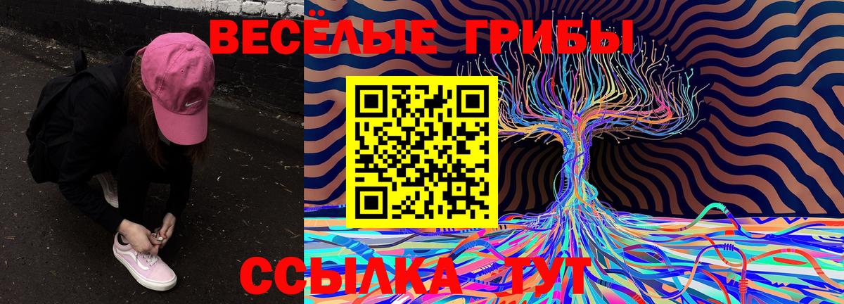 Галлюциногенные грибы ЛСД Тимашёвск